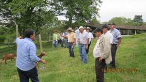 ganaderia-productiva-y-mas-limpia-jorge-garcia-taller-fedegasan-1