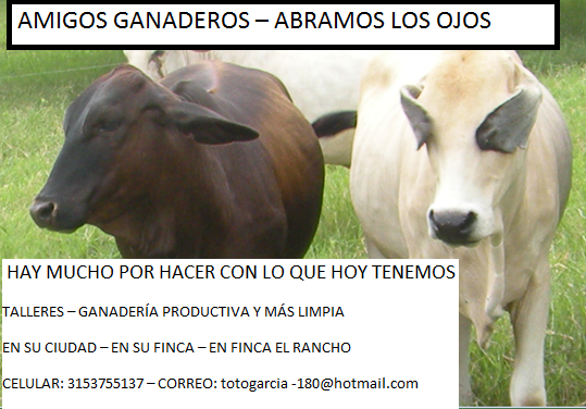 OJOS TALLER